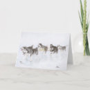 Buscar malamute de alaska tarjetas Nieve
