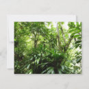 Buscar dominicano tarjetas Tropical