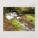 Buscar mosquitos postales Al aire libre