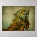Buscar dragón verde posters Lagarto
