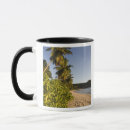 Buscar seychelles tazas Isla