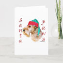 Buscar lakeland Perros