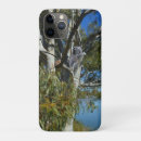 Buscar oso koala iphone fundas 6 º pesadilla