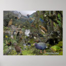 Buscar nueva zelanda posters Aotearoa
