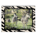 Buscar zebra fotografía Para todos