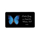 Buscar buterfly Azul