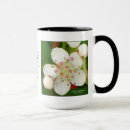 Buscar wildflower tazas Primavera