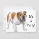Buscar bulldog invitaciones Perros