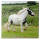 Buscar pinturas del caballo azulejos Caballo de pintura