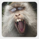 Buscar dientes animales pegatinas Parte del cuerpo animal