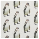 Buscar pingüino telas Divertido