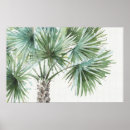 Buscar galón posters Tropical