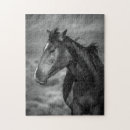 Buscar caballos negros puzzles Para niños