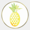 Buscar pina pegatinas Piña