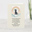 Buscar rainbow pet casa hogar General y unisex