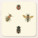 Buscar mosca cristaleria bar Insectos