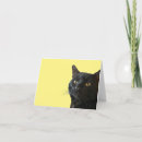 Buscar expresiones tarjetas Gatito