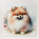 Buscar pomerania puzzles Perro