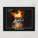 Buscar amante del lobo postales Lobos