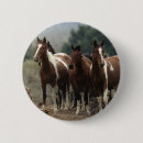 Buscar mustang chapas Salvaje
