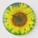 Buscar girasoles relojes de pared Brillante