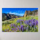 Buscar parque nacional de yellowstone posters Park