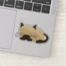 Buscar siamés pegatinas Gatos