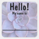 Buscar conocidas pegatinas Nametag