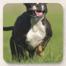 Buscar actividades posavasos Movimiento