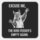 Buscar ardilla pegatinas Divertido