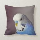 Buscar pájaro del mascota cojines Azul