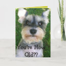 Buscar schnauzer birthday Feliz