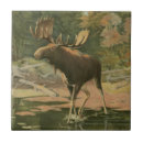 Buscar caza azulejos Animal