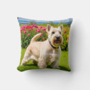 Buscar scottish terrier cojines Escocés