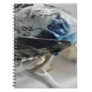 Buscar esotérico cuadernos Yoga