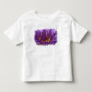 Buscar bangkok camisetas Naturaleza