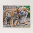 Buscar familia animal puzzles Tigre