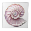 Buscar nautilus azulejos Caparazón de nautilus