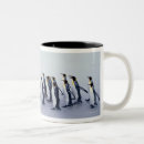 Buscar pingüino de rey tazas Fauna