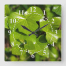 Buscar hiedra relojes de pared Primavera