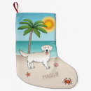 Buscar golden retriever calcetines navideños Nombre
