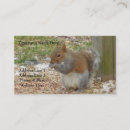 Buscar ardilla tarjetas de visita Animales