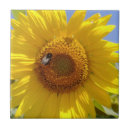 Buscar foto de la flor azulejos Amarillo