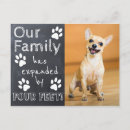 Buscar perro blanco y negro invitaciones Para mascotas