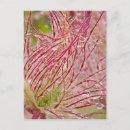 Buscar gota de lluvia postales Macro