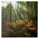 Buscar circo azulejos Jungla