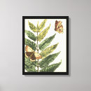 Buscar insectos arte Mariposas