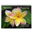 Buscar hawaiana calendarios Frangipani