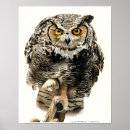 Buscar despredador arte Fauna