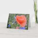 Buscar mapa tarjetas General y unisex